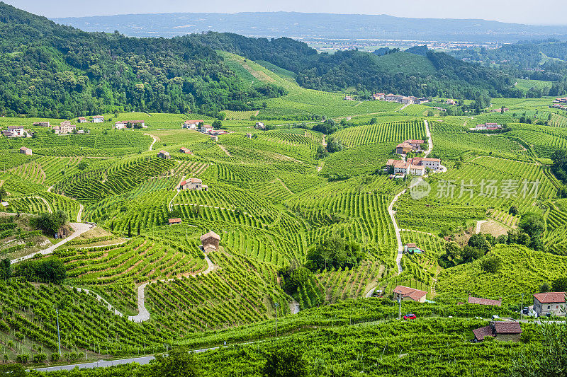 Prosecco Hills of Conegliano and valdovadene(意大利威尼托)